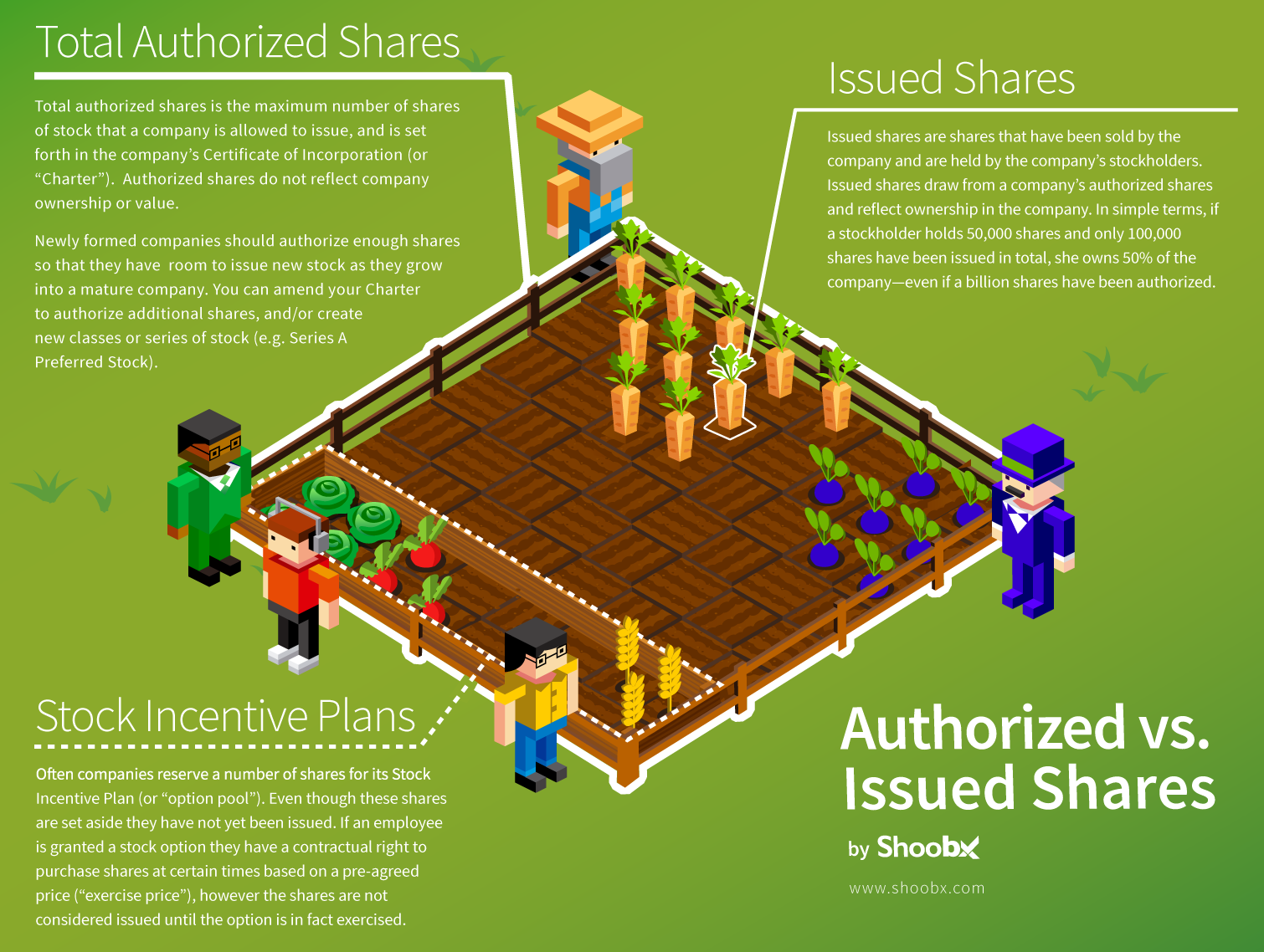 shoobx-authorized-issued-infographic
